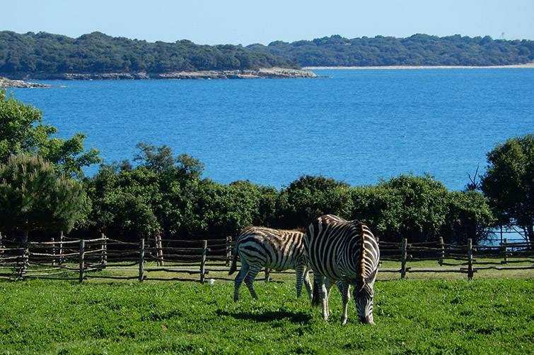 Brijuni National Park