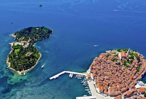 Adriatic Innovation Island